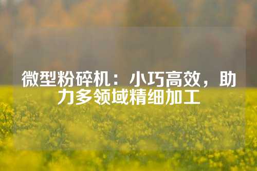 微型粉碎机：小巧高效，助力多领域精细加工