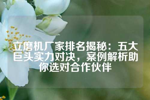 立磨机厂家排名揭秘：五大巨头实力对决，案例解析助你选对合作伙伴