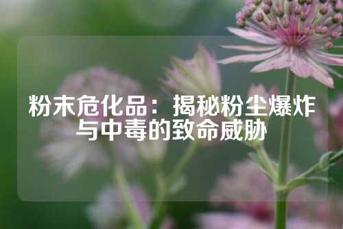 粉末危化品：揭秘粉尘爆炸与中毒的致命威胁