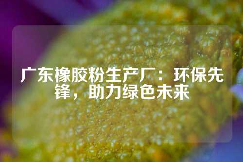 广东橡胶粉生产厂：环保先锋，助力绿色未来