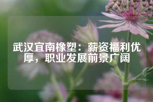 武汉宜南橡塑：薪资福利优厚，职业发展前景广阔