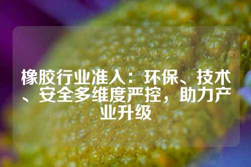 橡胶行业准入：环保、技术、安全多维度严控，助力产业升级