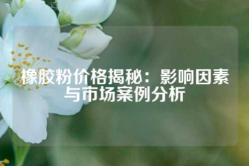 橡胶粉价格揭秘：影响因素与市场案例分析