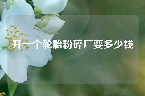 开一个轮胎粉碎厂要多少钱