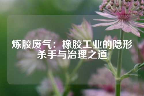 炼胶废气：橡胶工业的隐形杀手与治理之道