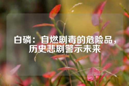 白磷：自燃剧毒的危险品，历史悲剧警示未来