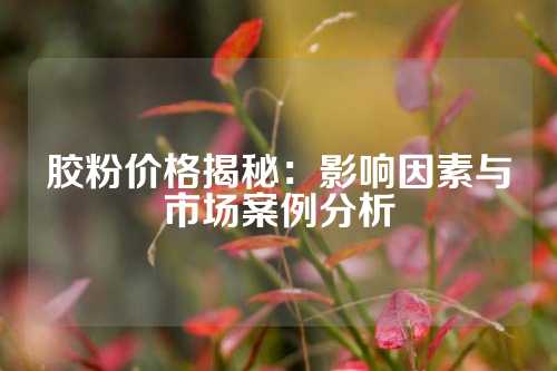 胶粉价格揭秘：影响因素与市场案例分析