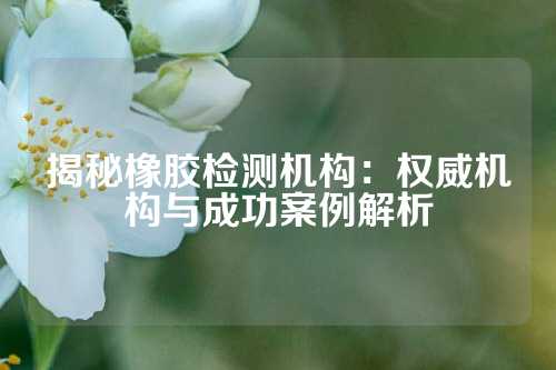 揭秘橡胶检测机构：权威机构与成功案例解析