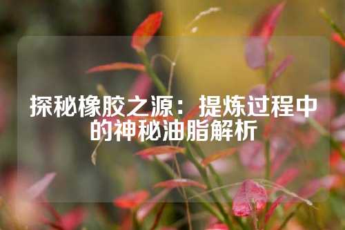 探秘橡胶之源：提炼过程中的神秘油脂解析