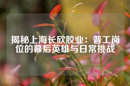 揭秘上海长欣胶业：普工岗位的幕后英雄与日常挑战