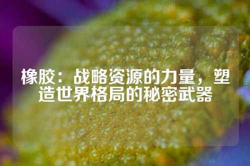 橡胶：战略资源的力量，塑造世界格局的秘密武器