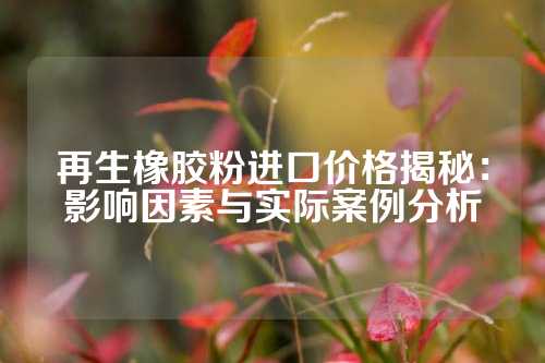 再生橡胶粉进口价格揭秘：影响因素与实际案例分析
