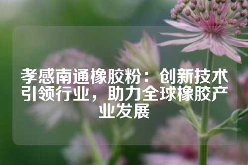 孝感南通橡胶粉：创新技术引领行业，助力全球橡胶产业发展
