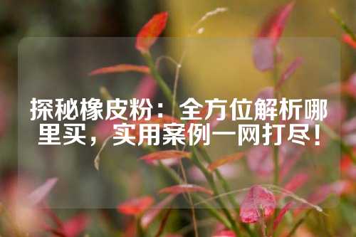 探秘橡皮粉：全方位解析哪里买，实用案例一网打尽！