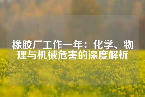 橡胶厂工作一年：化学、物理与机械危害的深度解析