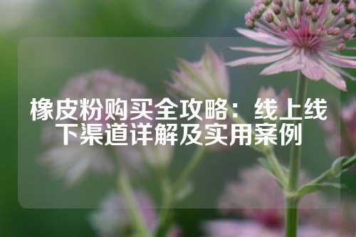 橡皮粉购买全攻略：线上线下渠道详解及实用案例