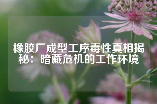 橡胶厂成型工序毒性真相揭秘：暗藏危机的工作环境