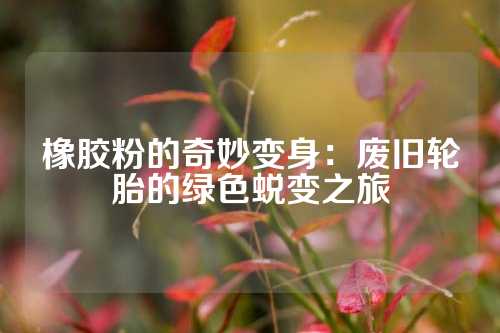 橡胶粉的奇妙变身：废旧轮胎的绿色蜕变之旅
