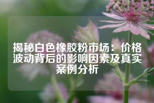 揭秘白色橡胶粉市场：价格波动背后的影响因素及真实案例分析