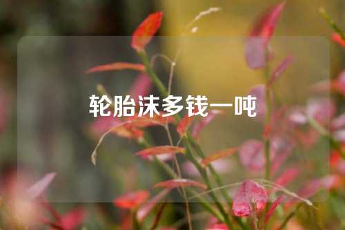 轮胎沫多钱一吨
