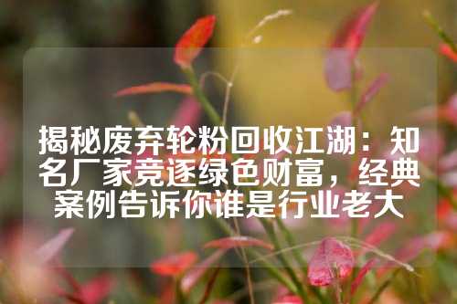 揭秘废弃轮粉回收江湖:知名厂家竞逐绿色财富,经典案例告诉你谁是行业老大
