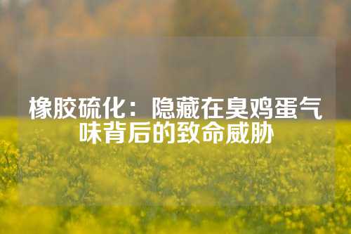 橡胶硫化：隐藏在臭鸡蛋气味背后的致命威胁