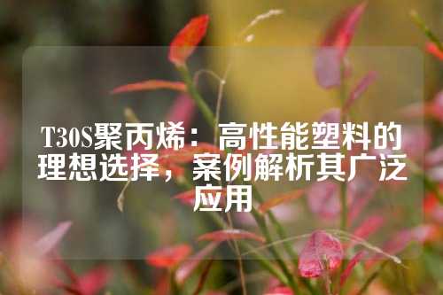 T30S聚丙烯：高性能塑料的理想选择，案例解析其广泛应用