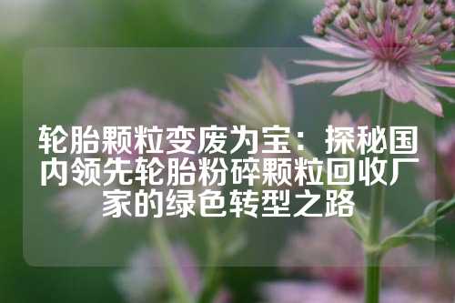 轮胎颗粒变废为宝：探秘国内领先轮胎粉碎颗粒回收厂家的绿色转型之路