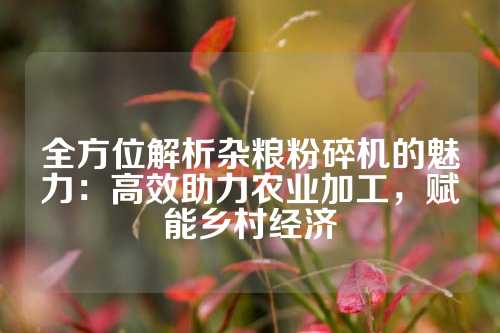 全方位解析杂粮粉碎机的魅力：高效助力农业加工，赋能乡村经济