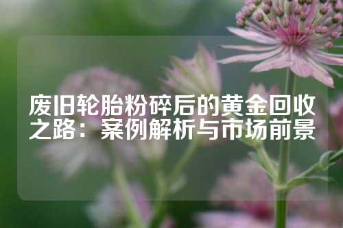 废旧轮胎粉碎后的黄金回收之路：案例解析与市场前景