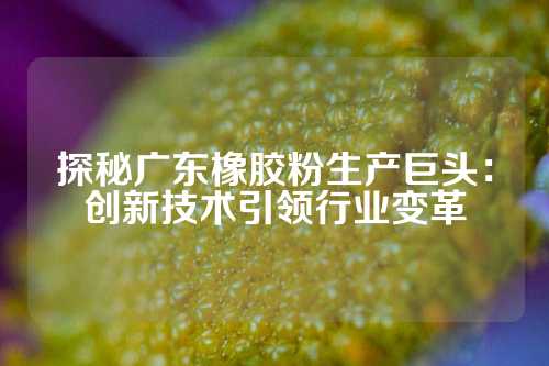 探秘广东橡胶粉生产巨头：创新技术引领行业变革