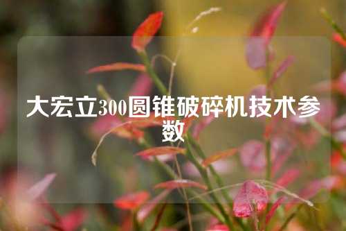 大宏立300圆锥破碎机技术参数