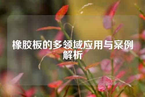 橡胶板的多领域应用与案例解析