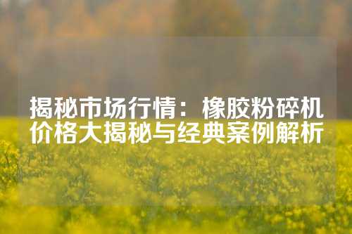 揭秘市场行情：橡胶粉碎机价格大揭秘与经典案例解析