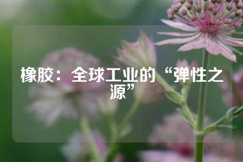 橡胶：全球工业的“弹性之源”
