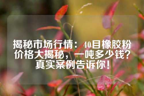 揭秘市场行情：40目橡胶粉价格大揭秘，一吨多少钱？真实案例告诉你！