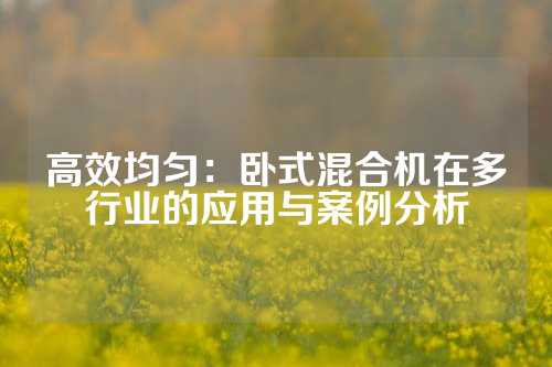 高效均匀：卧式混合机在多行业的应用与案例分析
