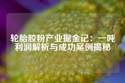 轮胎胶粉产业掘金记：一吨利润解析与成功案例揭秘