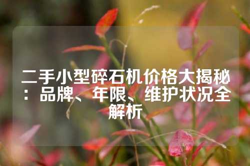二手小型碎石机价格大揭秘：品牌、年限、维护状况全解析