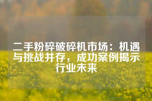 二手粉碎破碎机市场：机遇与挑战并存，成功案例揭示行业未来