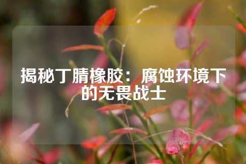 揭秘丁腈橡胶：腐蚀环境下的无畏战士