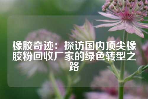 橡胶奇迹：探访国内顶尖橡胶粉回收厂家的绿色转型之路