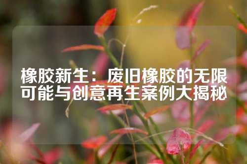 橡胶新生：废旧橡胶的无限可能与创意再生案例大揭秘