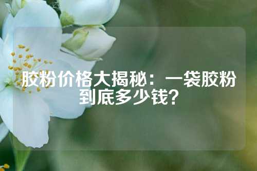 胶粉价格大揭秘：一袋胶粉到底多少钱？