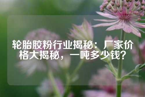 轮胎胶粉行业揭秘：厂家价格大揭秘，一吨多少钱？