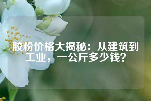 胶粉价格大揭秘：从建筑到工业，一公斤多少钱？