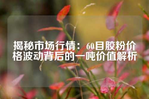 揭秘市场行情：60目胶粉价格波动背后的一吨价值解析