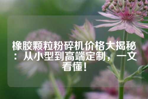 橡胶颗粒粉碎机价格大揭秘：从小型到高端定制，一文看懂！