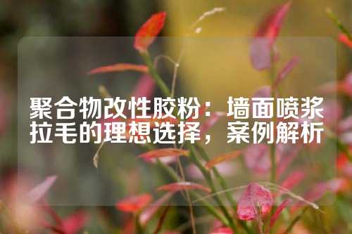 聚合物改性胶粉：墙面喷浆拉毛的理想选择，案例解析