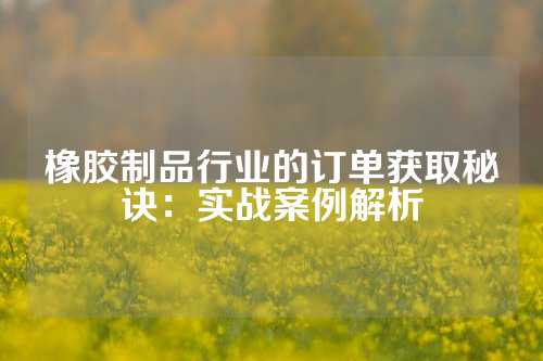 橡胶制品行业的订单获取秘诀：实战案例解析